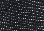 Structured black limited