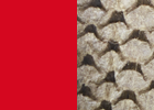 Red/Carp