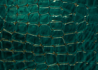 Croc green